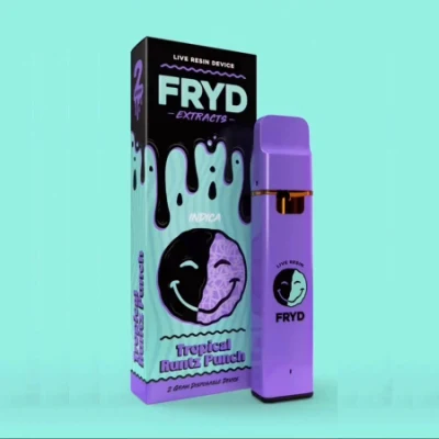 Fryd cigarette électronique vide vente en gros stylo Vape jetable vaporisateur d'herbes sèches